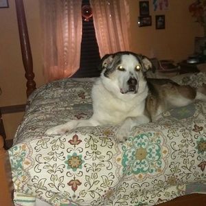 Meet your Posher, Scott